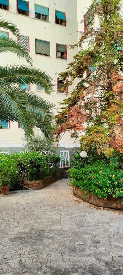 appartamento in affitto a Roma in zona Trieste