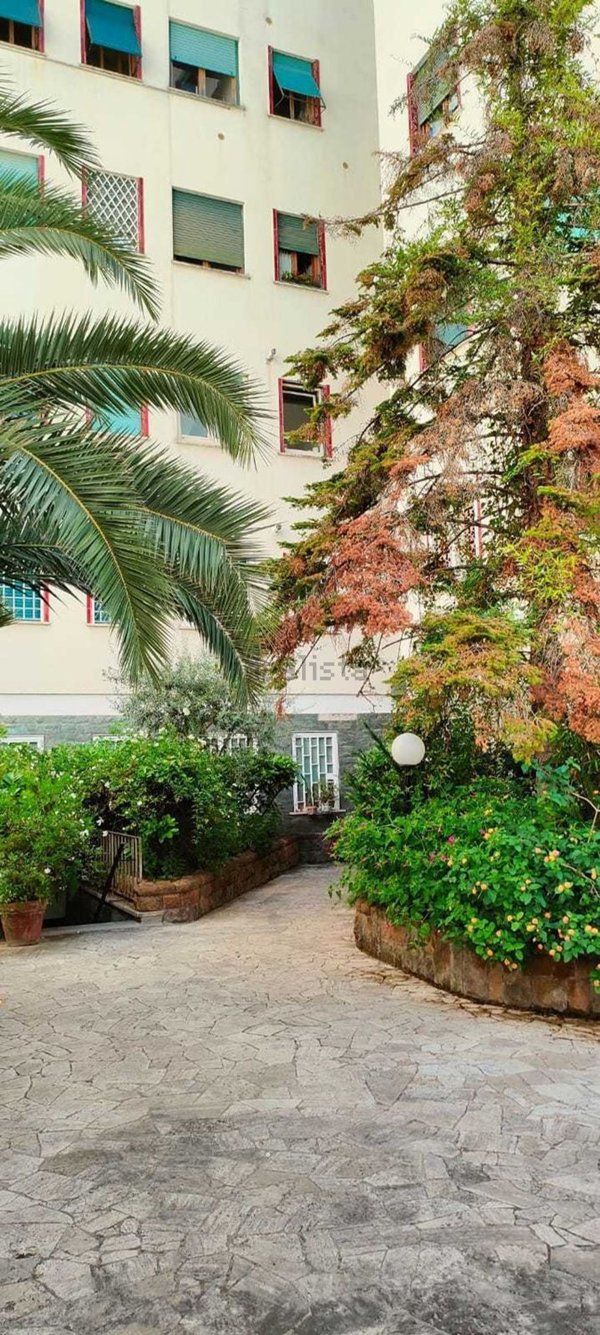 appartamento in affitto a Roma in zona Trieste