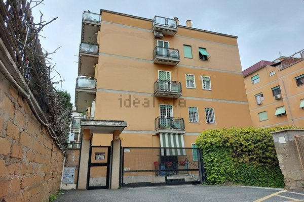 appartamento in affitto a Roma in zona Monte Sacro/Talenti