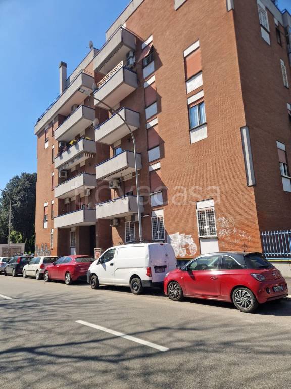 appartamento in affitto a Roma in zona Monte Sacro/Talenti
