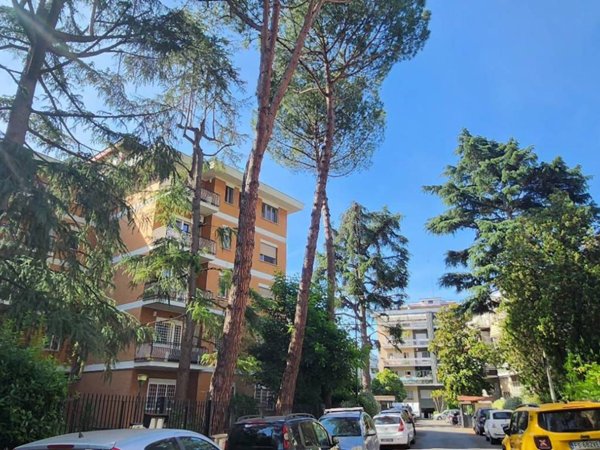 appartamento in affitto a Roma in zona Monte Sacro/Talenti