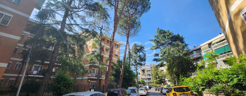 appartamento in affitto a Roma in zona Salario