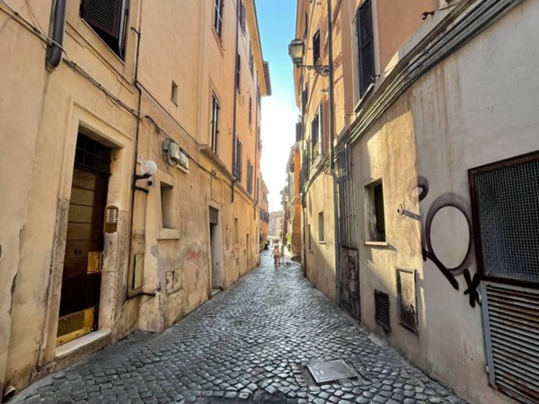 appartamento in affitto a Roma in zona Trastevere