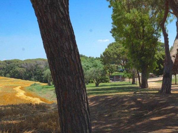 appartamento in affitto a Roma in zona Portuense