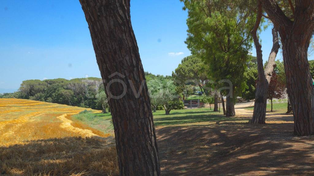 appartamento in affitto a Roma in zona Portuense