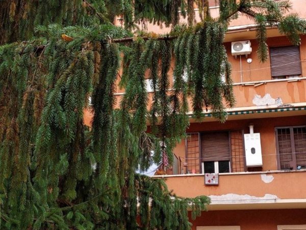 appartamento in affitto a Roma in zona Ostiense