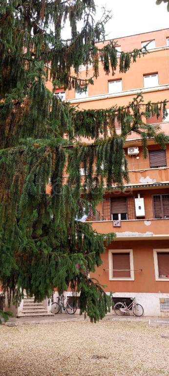 appartamento in affitto a Roma in zona Ostiense