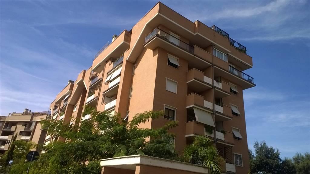 appartamento in affitto a Roma in zona Torrevecchia