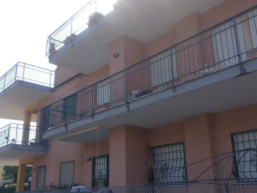 appartamento in affitto a Roma in zona Massimina/Casal Lumbroso