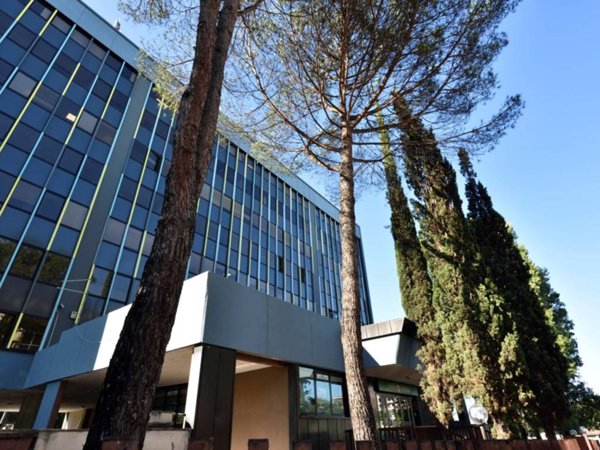 negozio in affitto a Roma in zona Torrino