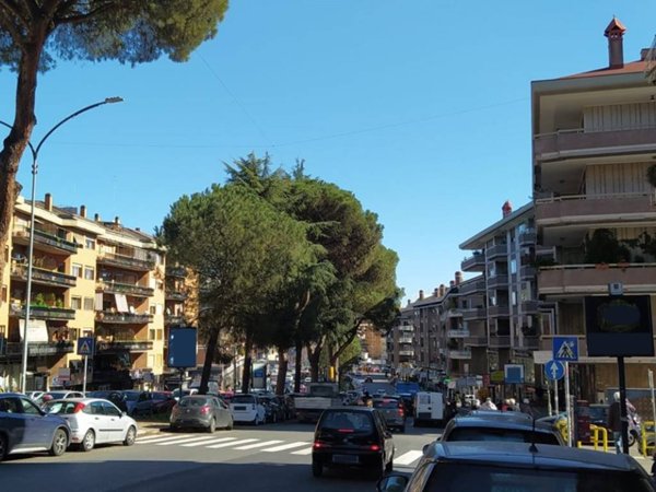negozio in affitto a Roma in zona Monte Sacro/Talenti