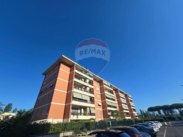 appartamento in affitto a Roma in zona Pietralata