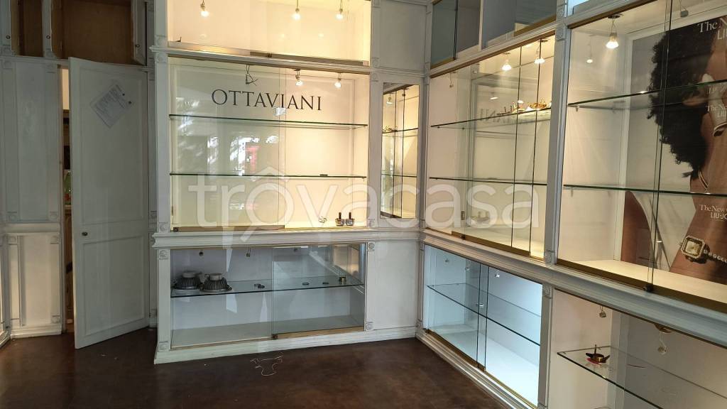 appartamento in affitto a Roma in zona Trieste