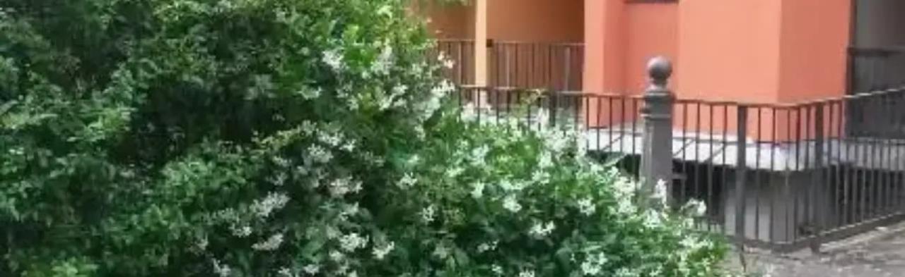 appartamento in affitto a Roma in zona Collatino