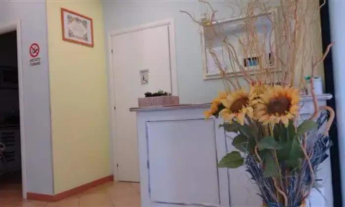 appartamento in affitto a Roma in zona Giuliano Dalmata