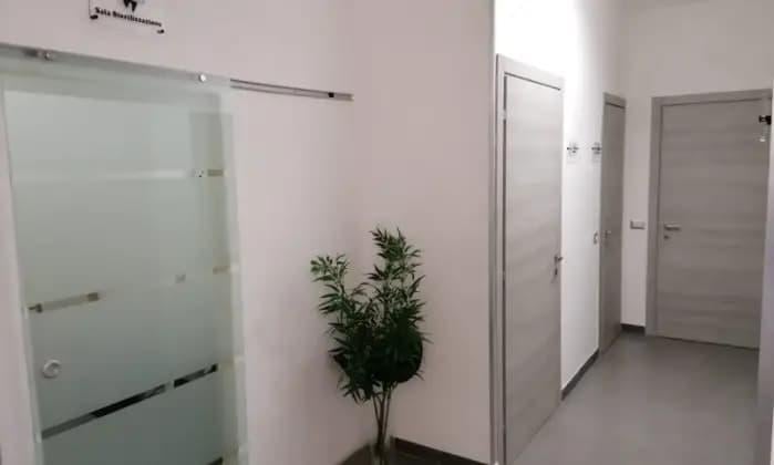 appartamento in affitto a Roma in zona Aurelio