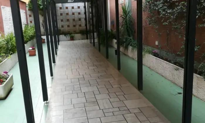 appartamento in affitto a Roma in zona Appio Latino