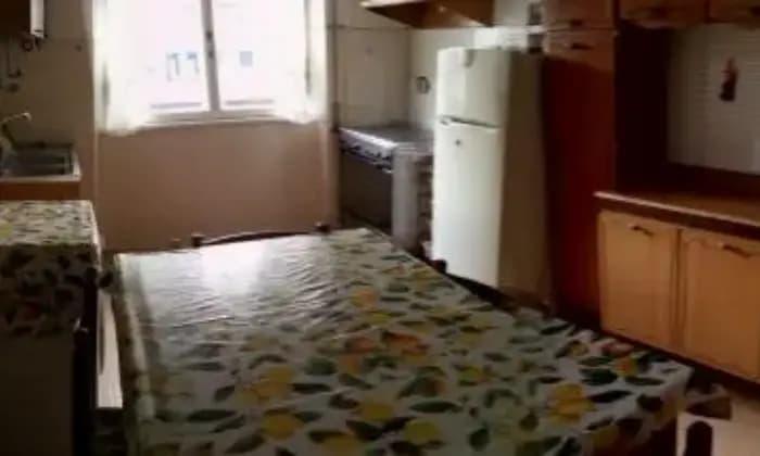 appartamento in affitto a Roma in zona Monte Sacro/Talenti