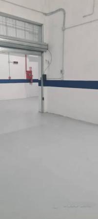 negozio in vendita a Roma in zona Tuscolano