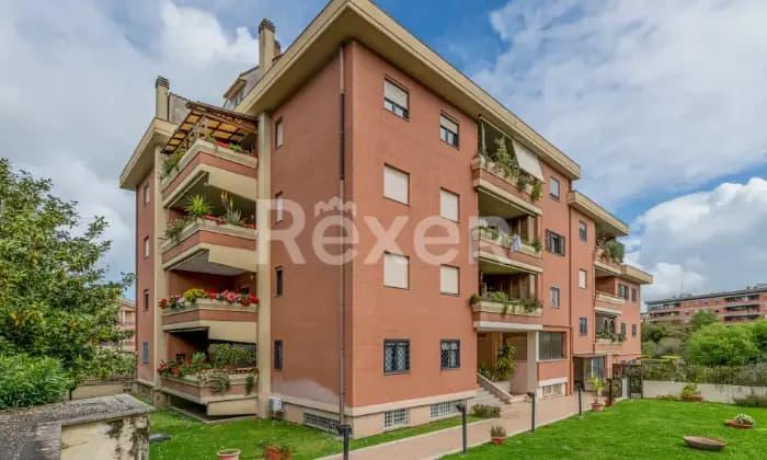 appartamento in affitto a Roma in zona Trionfale