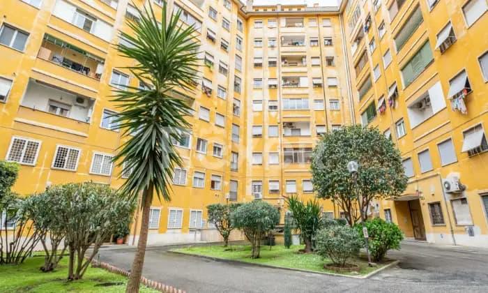 appartamento in affitto a Roma in zona Tuscolano