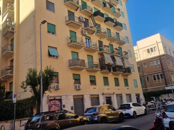 negozio in affitto a Roma in zona Appio Latino