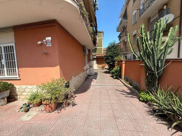 appartamento in affitto a Roma in zona Giuliano Dalmata