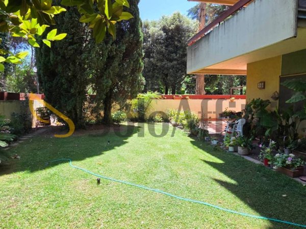 appartamento in affitto a Roma in zona Giuliano Dalmata