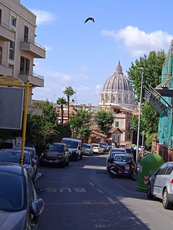 appartamento in affitto a Roma in zona Aurelio