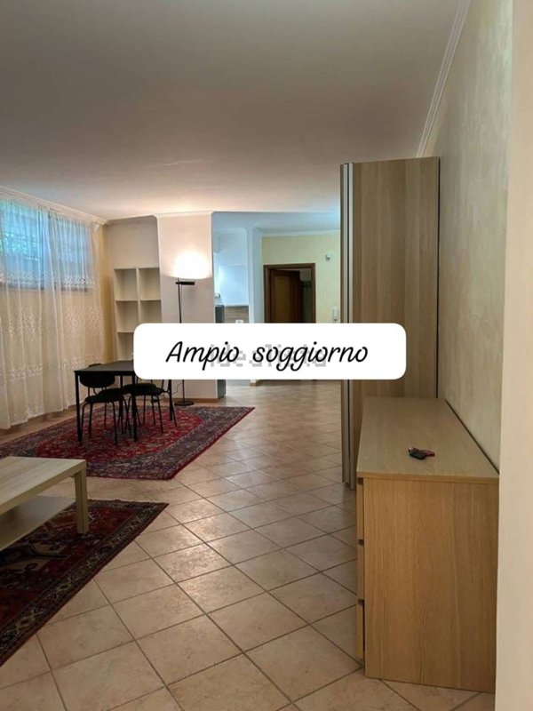 appartamento in affitto a Roma in zona Torrino