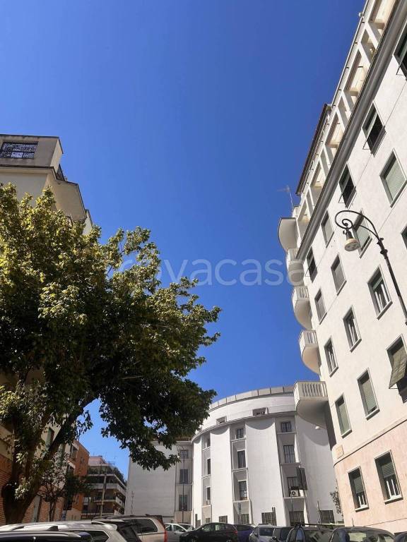appartamento in affitto a Roma in zona Trieste