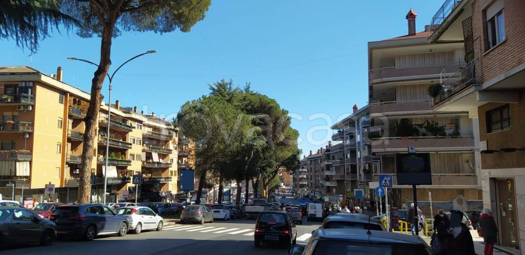 monolocale in affitto a Roma in zona Monte Sacro/Talenti