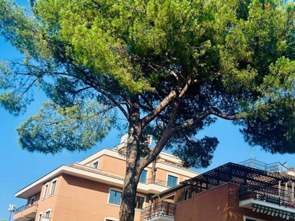 appartamento in affitto a Roma in zona Aurelio