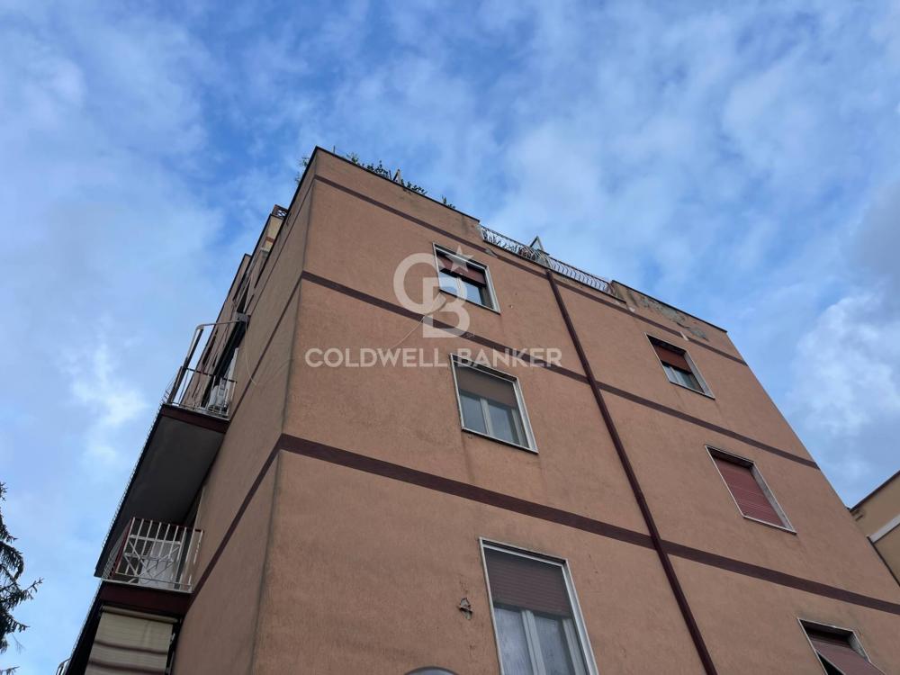appartamento in affitto a Roma in zona Trionfale