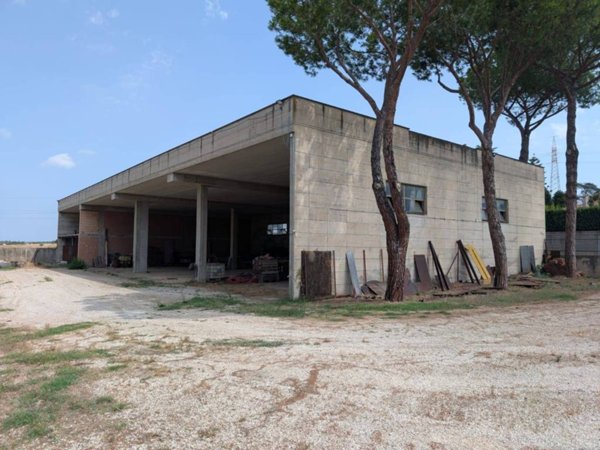 locale commerciale in affitto a Roma in zona Massimina/Casal Lumbroso