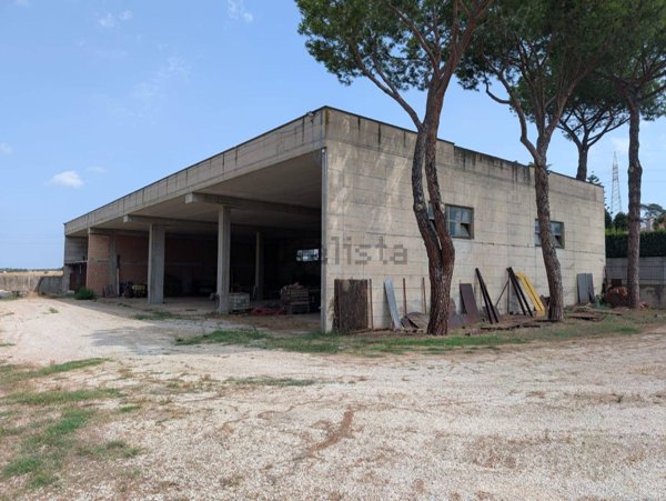 capannone in affitto a Roma in zona Massimina/Casal Lumbroso