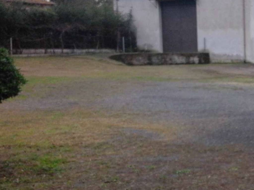 locale commerciale in affitto a Roma in zona Trigoria