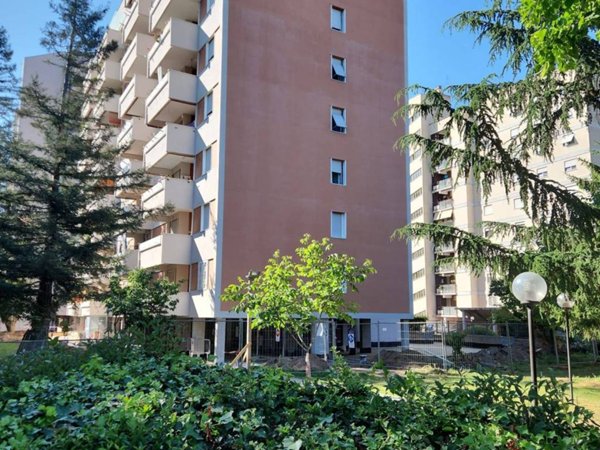 appartamento in affitto a Roma in zona Prenestino-Labicano