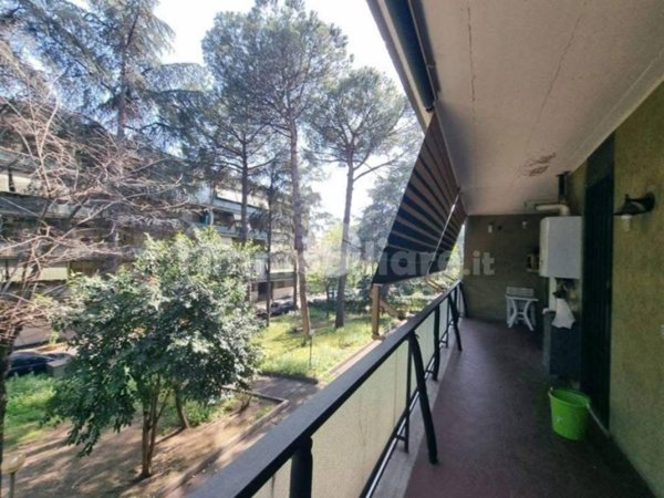 appartamento in affitto a Roma in zona Finocchio
