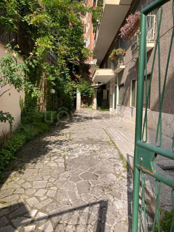appartamento in affitto a Roma in zona Pinciano