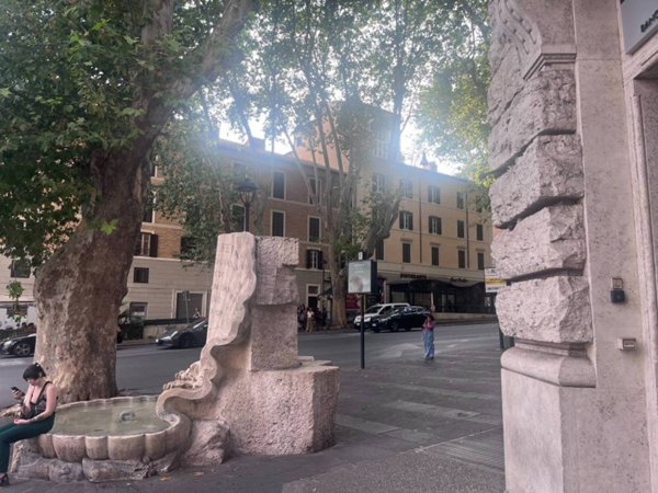 appartamento in affitto a Roma in zona Trevi-Colonna