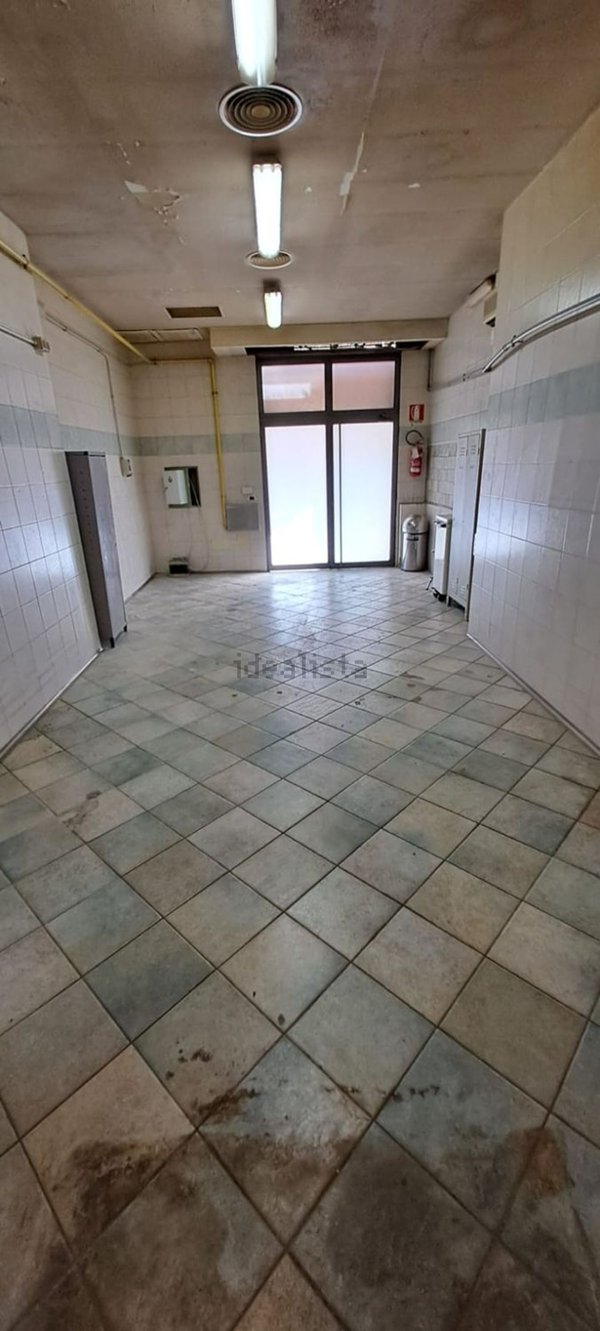 casa indipendente in affitto a Roma in zona Trieste