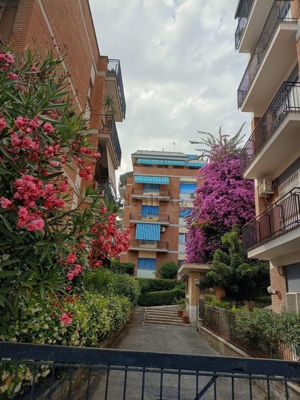 appartamento in affitto a Roma in zona Primavalle