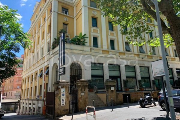 appartamento in affitto a Roma in zona Parioli
