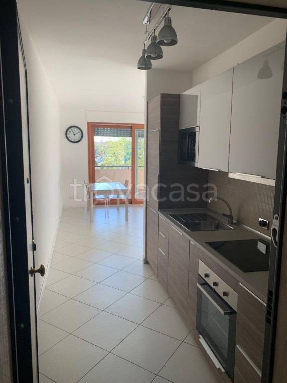 appartamento in affitto a Roma in zona Monte Sacro/Talenti