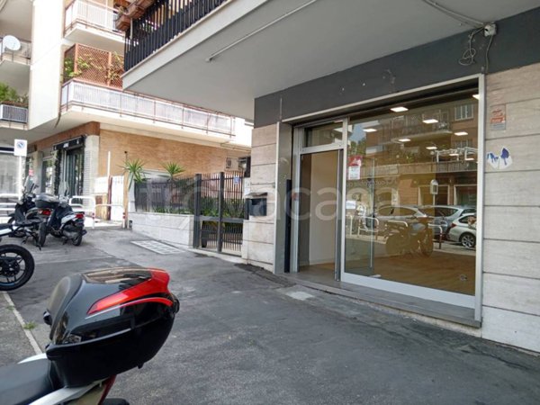 appartamento in affitto a Roma in zona Flaminio