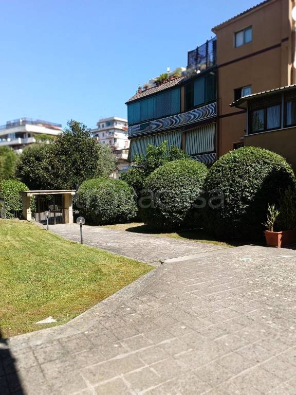 appartamento in affitto a Roma in zona Trionfale