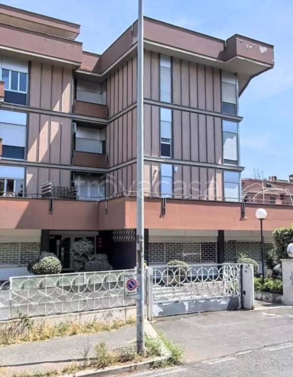 appartamento in affitto a Roma in zona Giuliano Dalmata