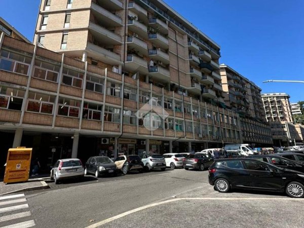 appartamento in affitto a Roma in zona Trastevere