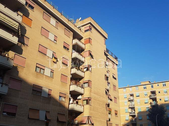 appartamento in affitto a Roma in zona Cinecittà